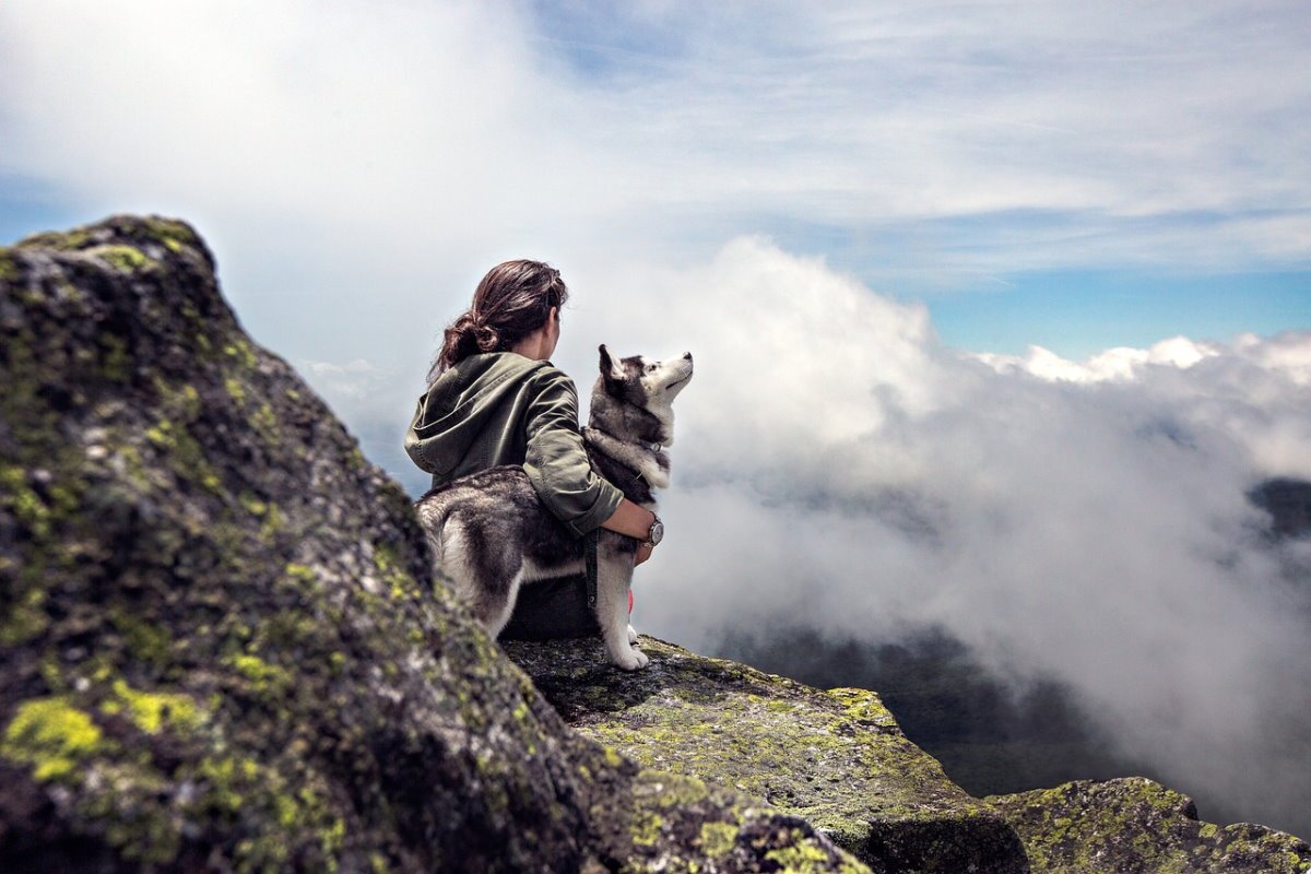 Visiting Canada with a dog turns every moment into an adventure, enriching the experience for both the owner and their furry companion.